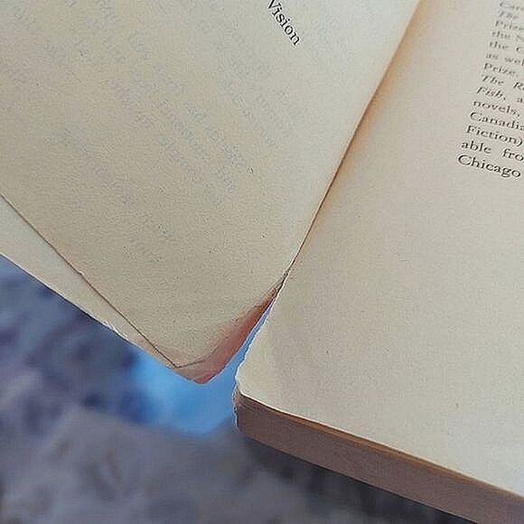 Vtg 90s Book | The Stone Diaries by Carol Shields - Picture 10 of 11